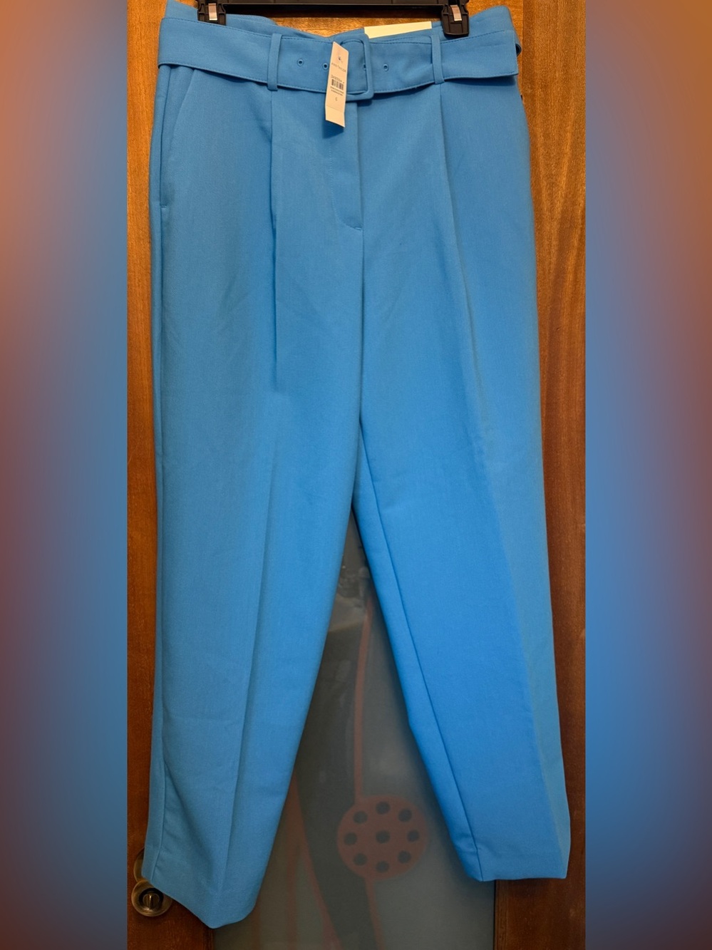 Ann Taylor Pleated Trousers Pants Blue Echo Belted High Rise NWT Wide Ankle -6